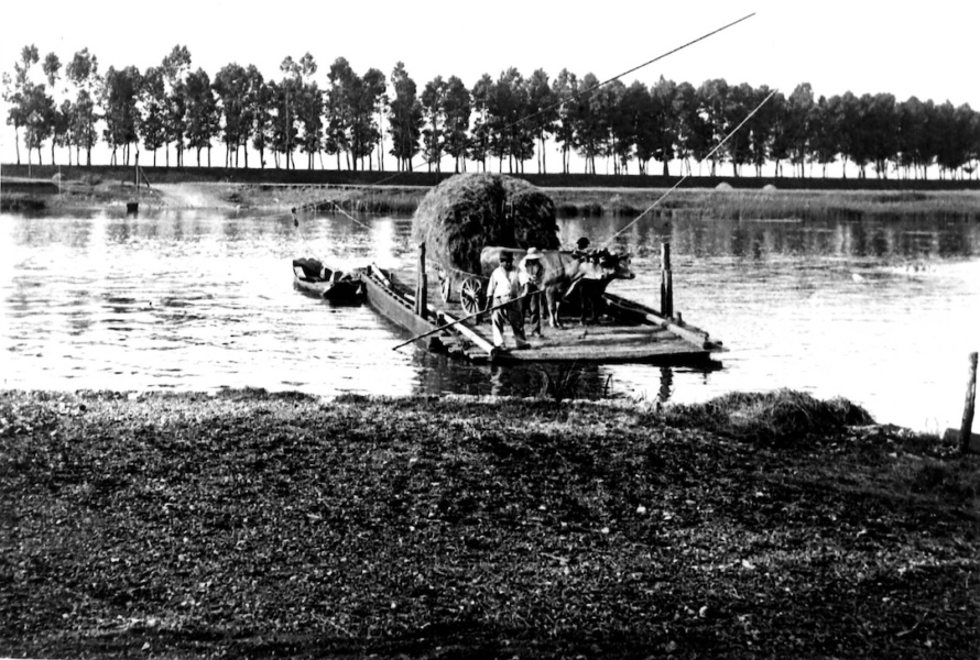 Bac a traille a Chemilly © DR L Bonnamour