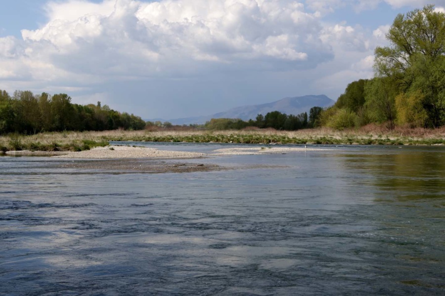 Bancs de galets sur le Rhone de Bregnier Cordon © B Morandi 2021