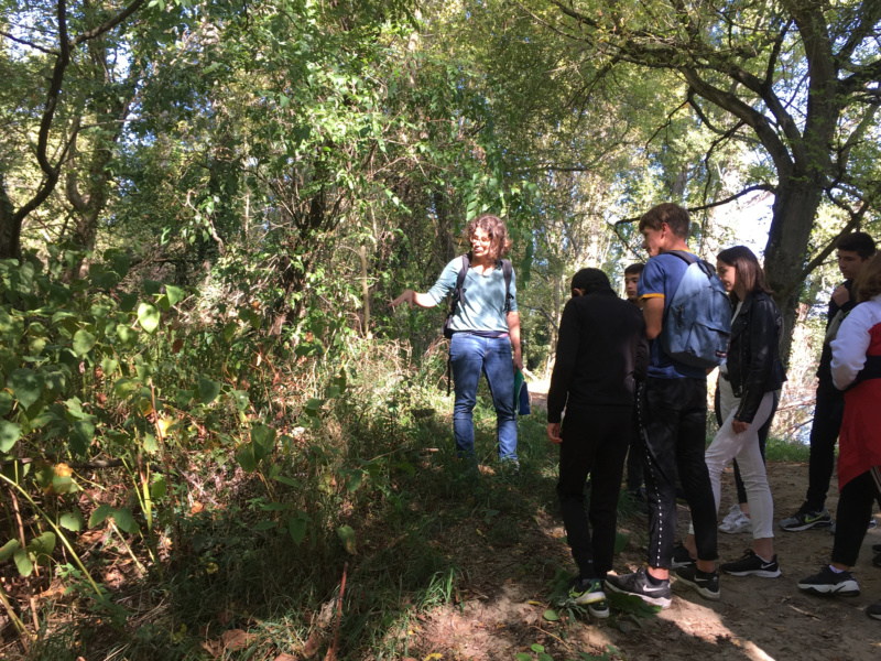 Biodiversite et plante invasive SMIRIL © Collection Fleuve Cap sur le Rhone