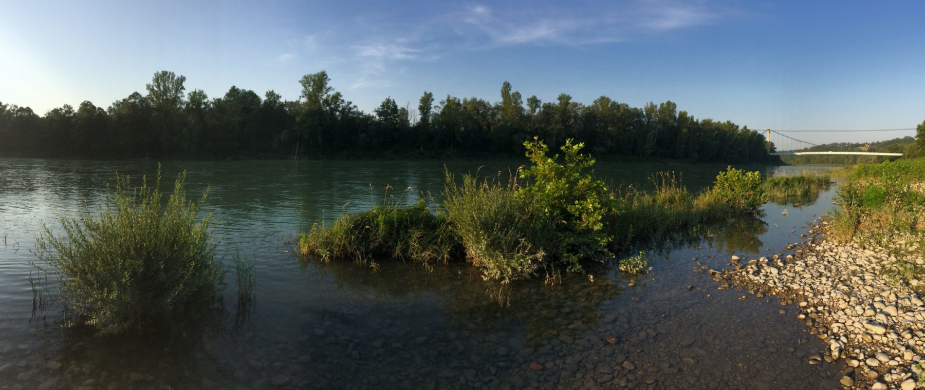 Bords du Vieux Rhone a Vernaison © SMIRIL