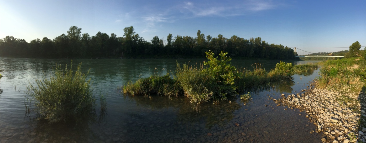 Bords du Vieux Rhone a Vernaison © SMIRIL