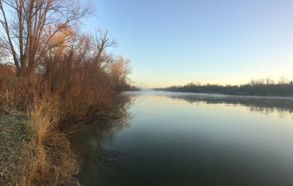 Brume sur le Rhone SMIRIL © Bernard Rocher
