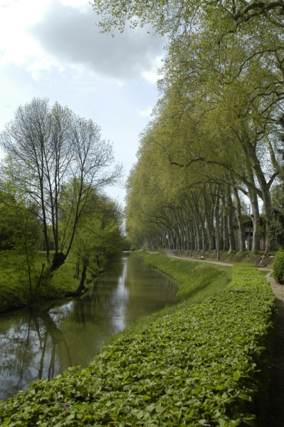 Canal Thoissey © photo P. Branche, 2011, Collections photographiques de la Ville de Villefranche-sur-Saône