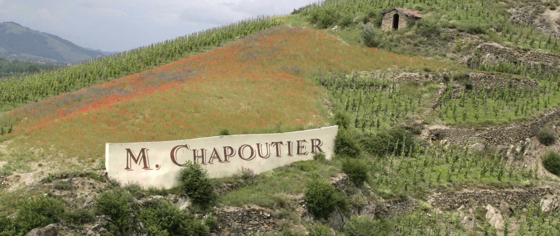 Chapoutier