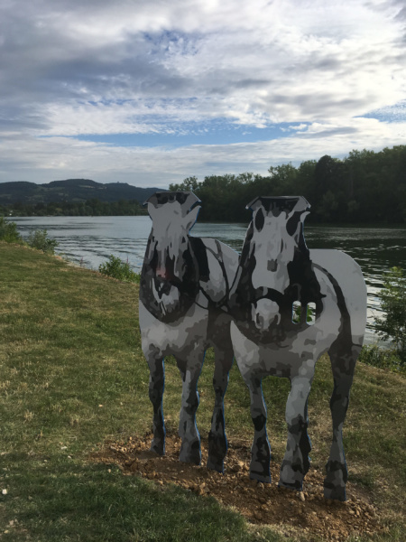 Chevaux de halage berges de Saone Parcours Decouverte Port Bernalin © Capsurlerhone