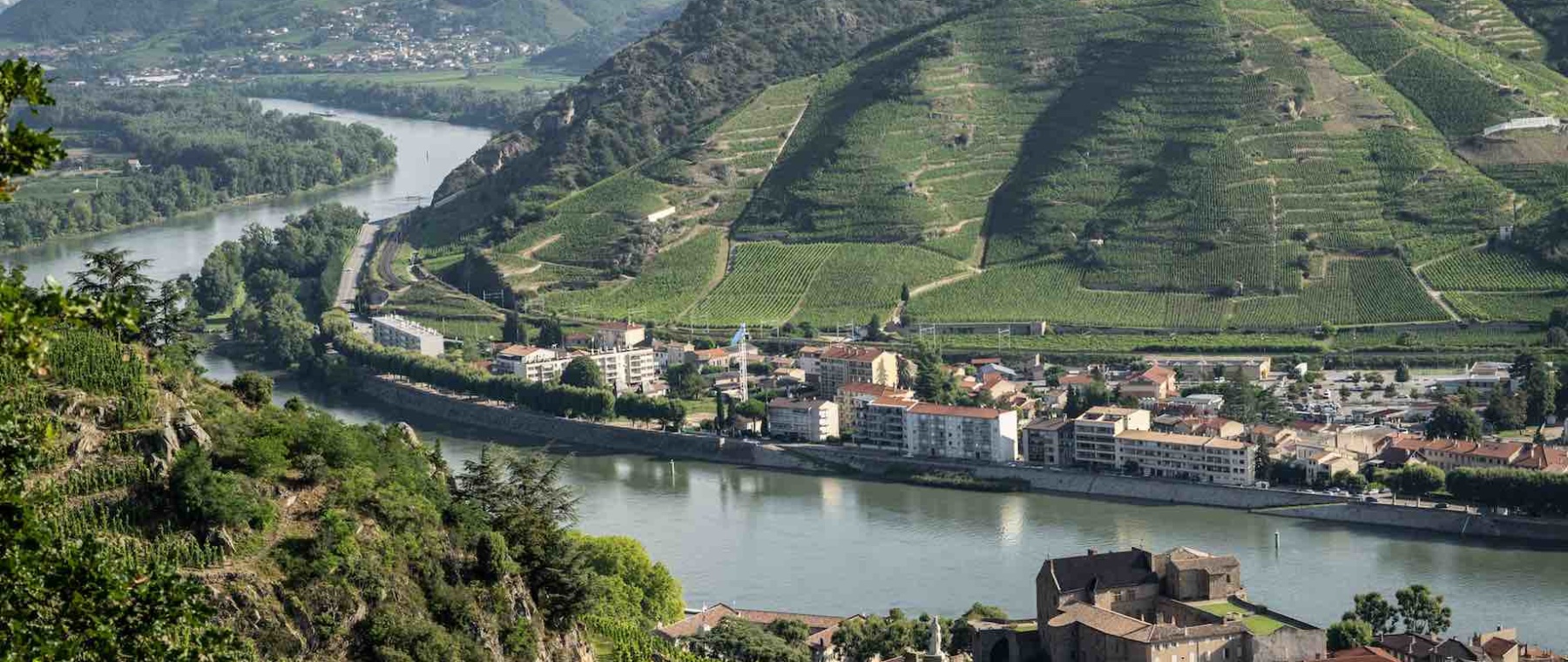 Colline de l Hermitage Rhone vignobles et vignes © Nicolas Tracol DLU 2022