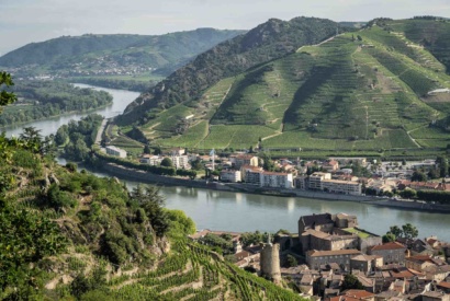 Colline de l Hermitage Rhone vignobles et vignes © Nicolas Tracol DLU 2022