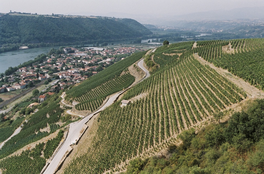 Cote Rotie Chateau d Ampuis La Viria © E Guigal