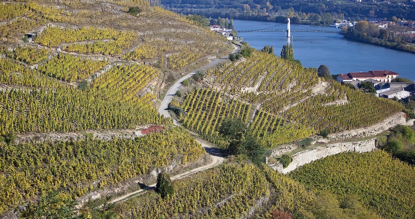 Coteaux de Condrieu © Mairie de Condrieu