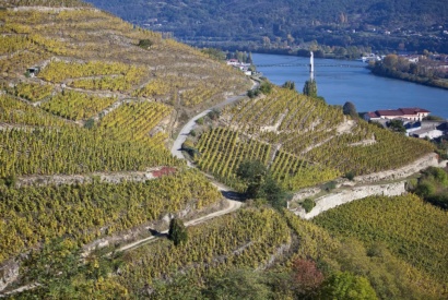 Coteaux de Condrieu © Mairie de Condrieu