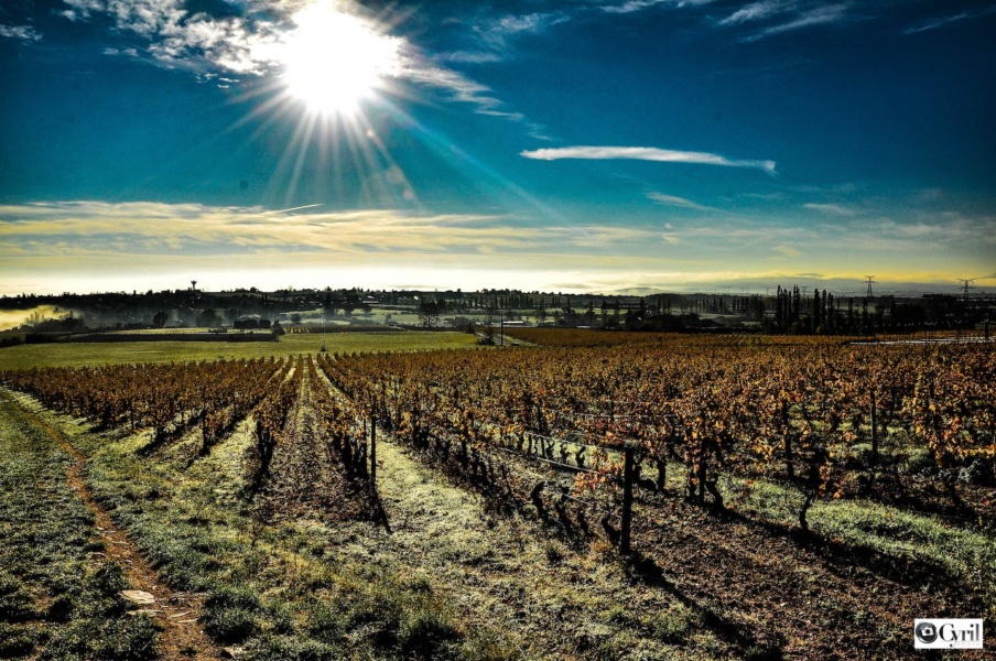 Coteaux du Lyonnais © Cyril Louat