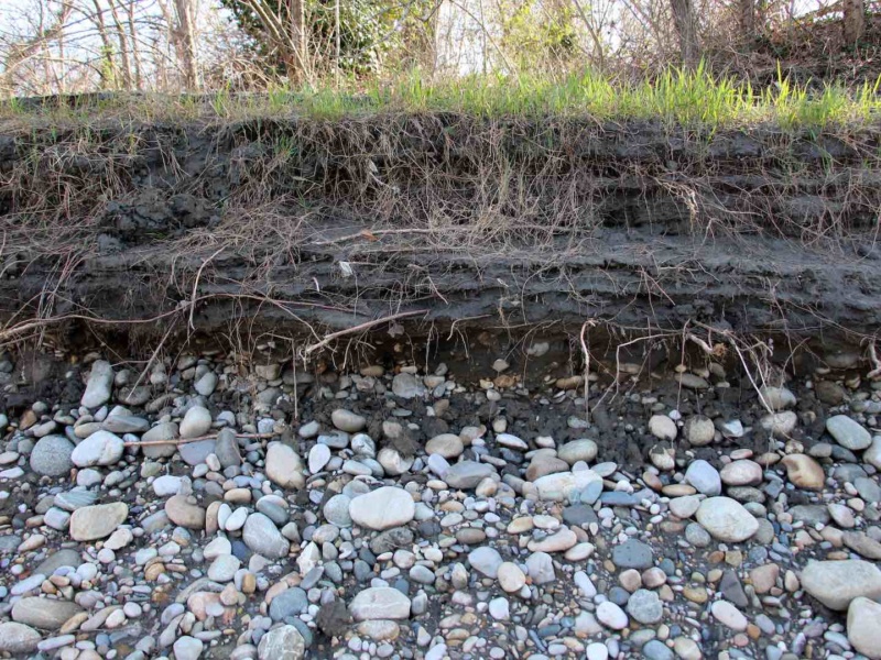 Couche de sediments fins et grossiers deposees par le Rhone secteur de Donzere Mondragon © G Seignemartin