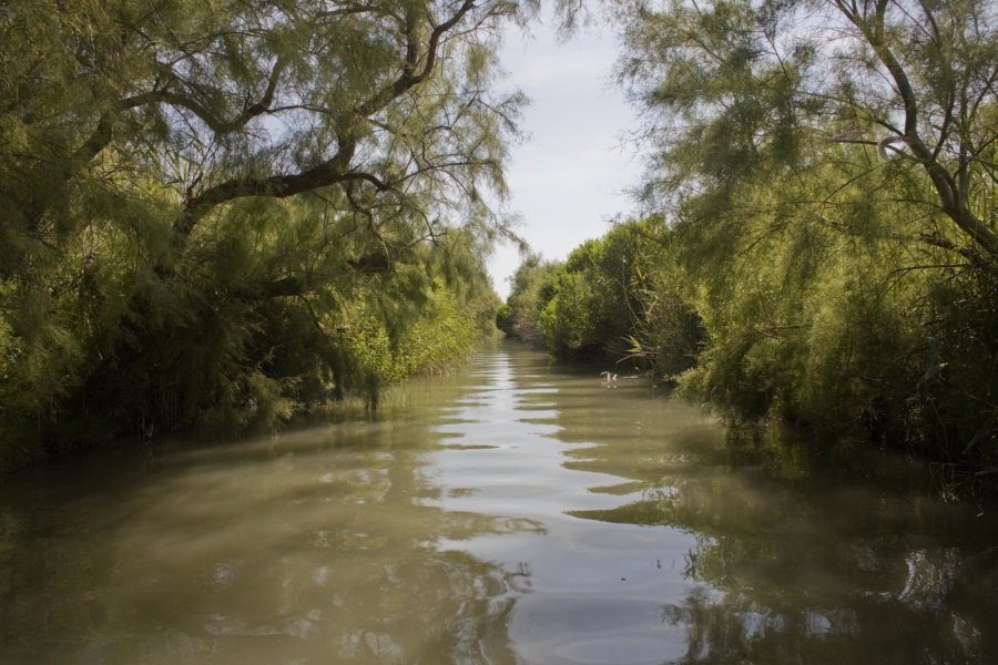 Delta du Rhône, méconnu et sauvage © David Desalheux