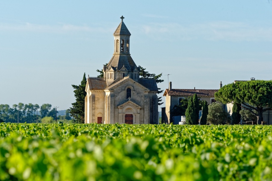 Domaine de Montcalm © D Demouy Syndicat des vins Sable de Camargue