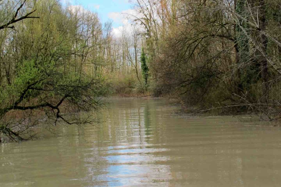 Eaux du Rhône chargées en sédiments fin durant une crue © J.-M. Olivier, 2015)