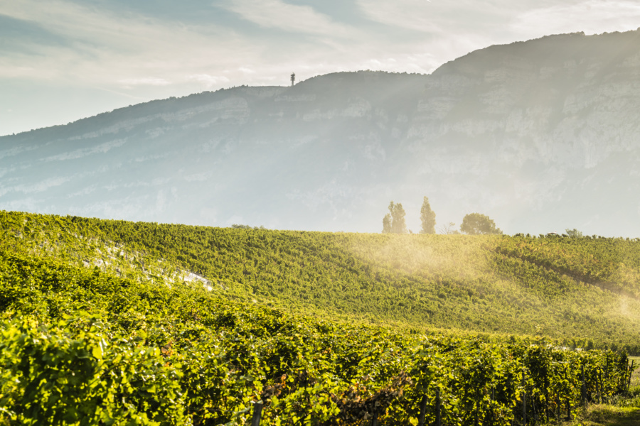 Entre Arve et Rhone © geneveterroir