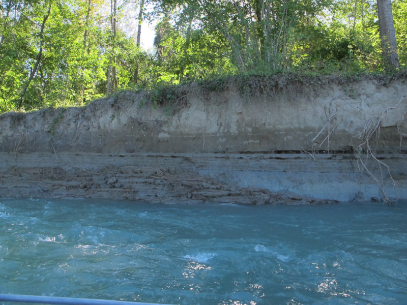 Erosion bord de Rhone en Chautagne © Jean Michel Olivier