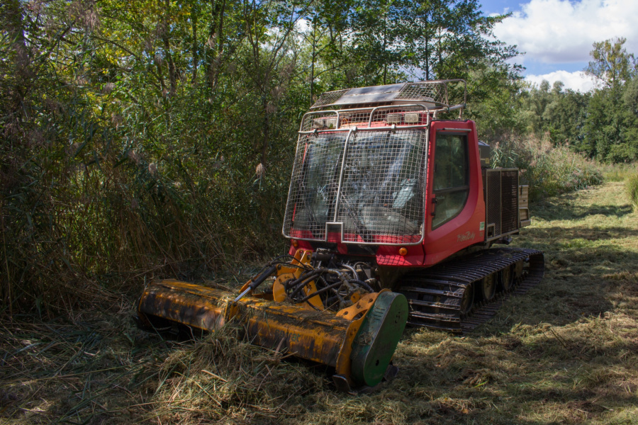 Fauchage solivage geant © Syndicat du Haut-Rhone