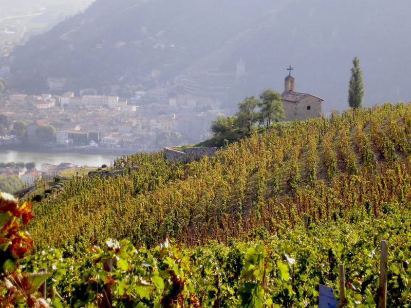 Hermitage et vue sur le Rhone © Andre Deyrieux