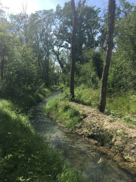 La lône de Jonage © CapsurleRhône