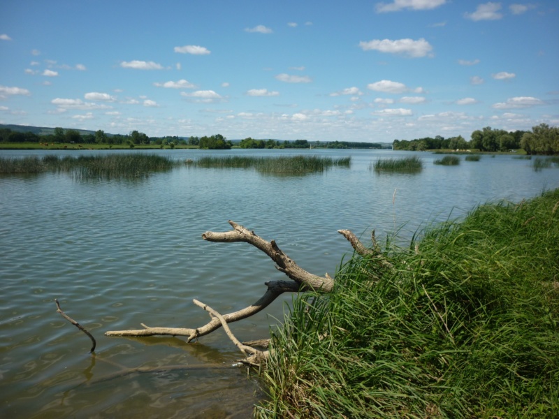 La Saone au port Celet © EPTB Saone et Doubs