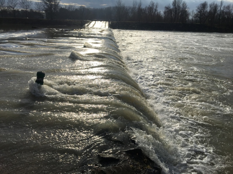 Le gué sous les eaux en janvier 2018 au Grand Parc Miribel Jonage© GPMJ