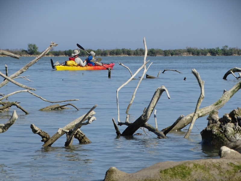 Le Rhone en Camargue © Jean Louis Michelot