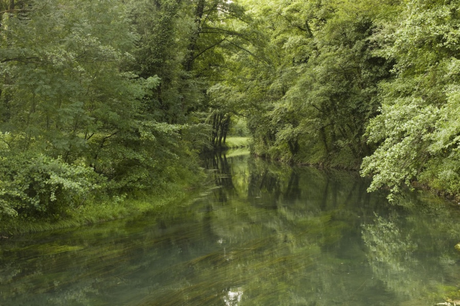 Lône vers la Voulte sur Rhône © David Desalheux