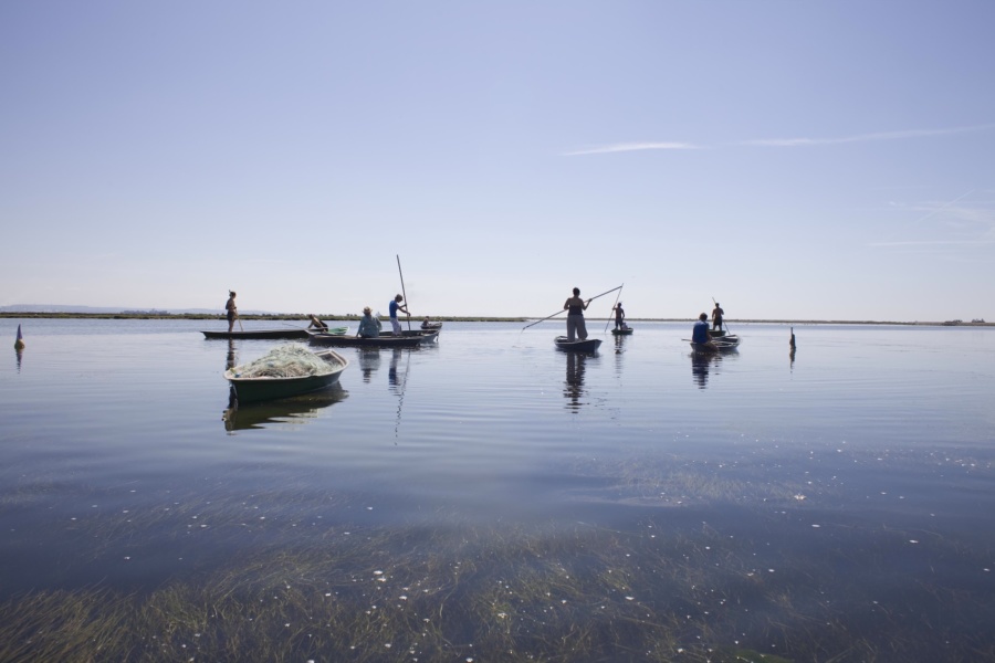 Navigation à la partègue entre mer et fleuve © David Desalheux