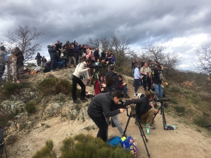 Observation des migrations © LPO Drome