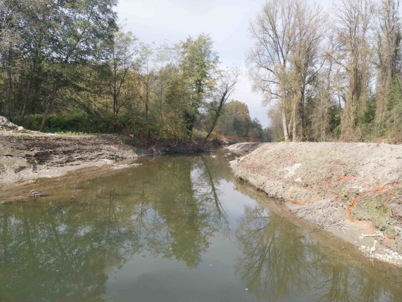 Octobre 2024 Lone des Cerisiers © Syndicat du Haut Rhone