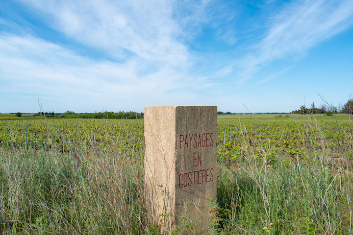 Paysages en Costieres © Nimes Tourisme