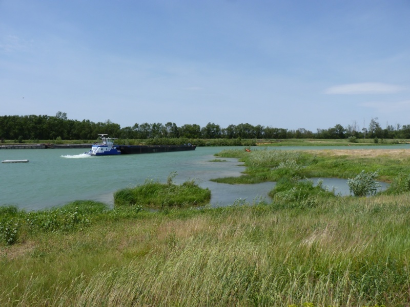 Reamenagement de la carriere des Rives du Beaujolais a Anse © Groupe Plattard