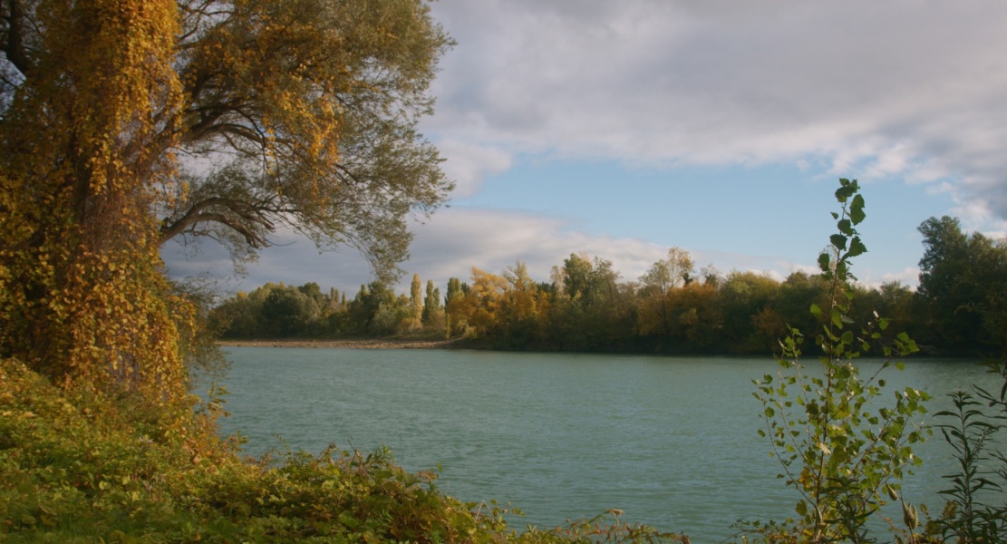 Rive ardéchoise du fleuve Rhône © Beegoo/Auvergne-Rhône-Alpes Tourisme