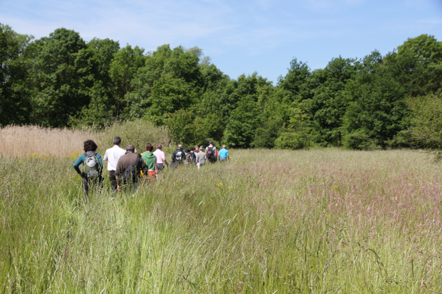 © Conservatoire des Espaces Naturels RA