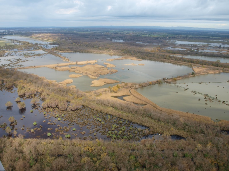 Survol des Marais du Vigueirat © JLL-AMV