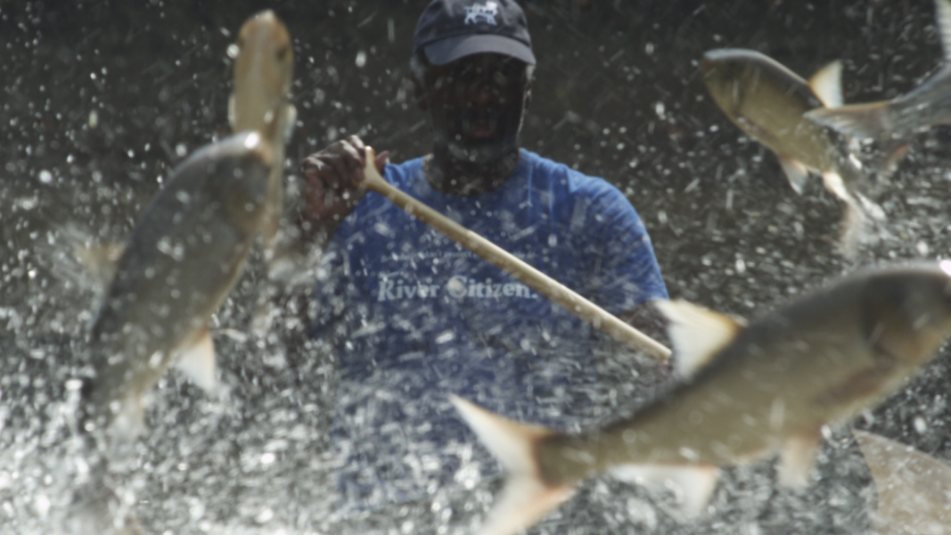 Traversee d un champs de carpes asiatiques en eruption © Eddy L Harris