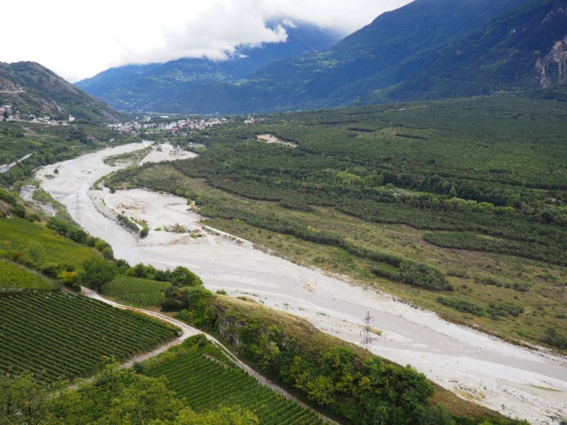 Vignes en bord de Rhône dans le Valais © Capsurlerhône