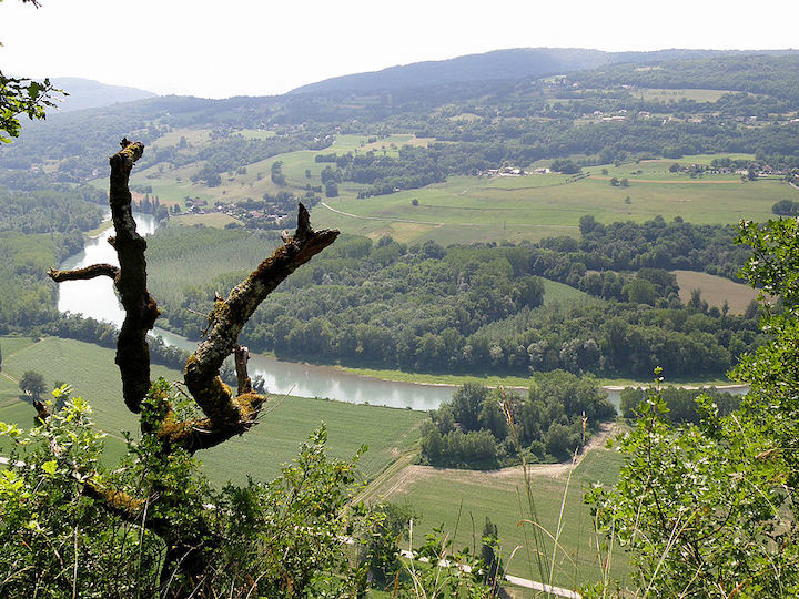 Vignes et Rhone © Coteaux du Lyonnais