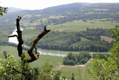 Vignes et Rhone © Coteaux du Lyonnais