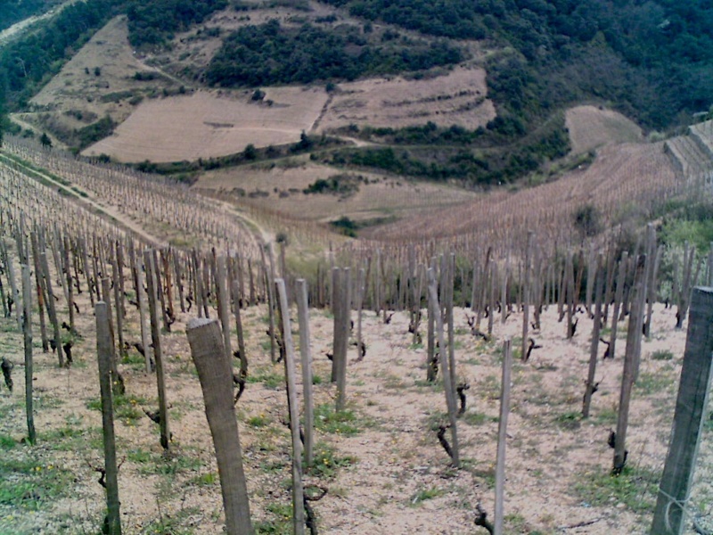 Vignoble Cornas © Andre Deyrieux