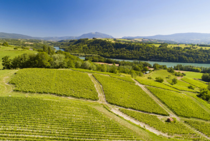 Vignobles de Seyssel @ Laurent Madelon